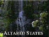 Altared States